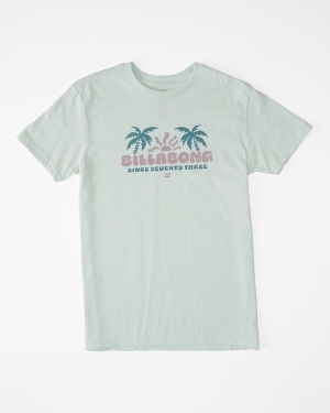 Boys' Billabong (2-7) 2 Palms Short Sleeve T Shirts Multicolor | 456RSJFDW