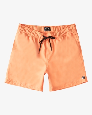 Boys' Billabong (2-7) All Day Layback 13 Boardshorts Multicolor | 748ZNOEAH