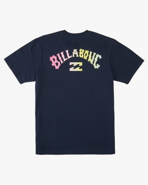 Boys' Billabong (2-7) Arch Fill Short Sleeve T Shirts Navy | 041UBQGEX