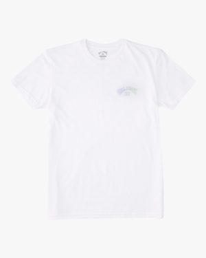 Boys' Billabong (2-7) Arch Fill Short Sleeve T Shirts White | 570CFZWVX