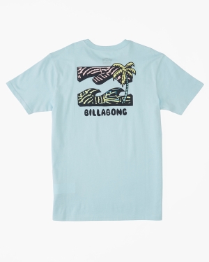 Boys' Billabong (2-7) BBTV Short Sleeve T Shirts Multicolor | 250JBRLTG