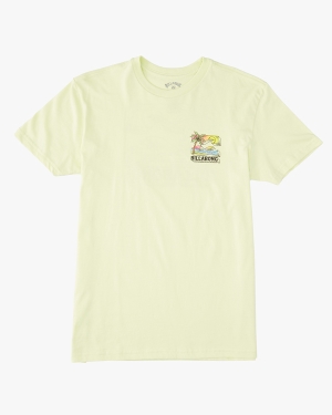 Boys' Billabong (2-7) BBTV Short Sleeve T Shirts Light Green | 397QRHCIJ