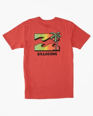 Boys' Billabong (2-7) BBTV Short Sleeve T Shirts Coral | 596LHGMIJ