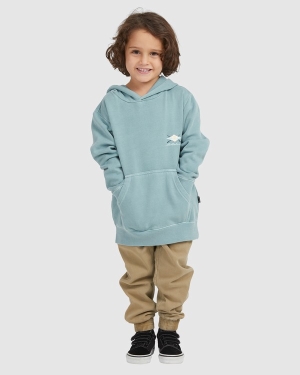 Boys' Billabong (2-7) Bong Days Pop Pullover Hoodie Light Blue | 589GLUYRM
