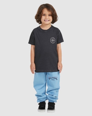 Boys' Billabong (2-7) Core Arch Track Sweatpants Blue | 169DOZPUL