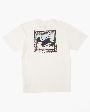 Boys' Billabong (2-7) Crayon Wave Short Sleeve T Shirts White | 269ALPQXK