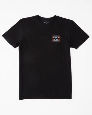 Boys' Billabong (2-7) Crayon Wave Short Sleeve T Shirts Black | 327ILQHVK