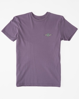 Boys' Billabong (2-7) Crayon Wave Short Sleeve T Shirts Purple | 710TPALQH