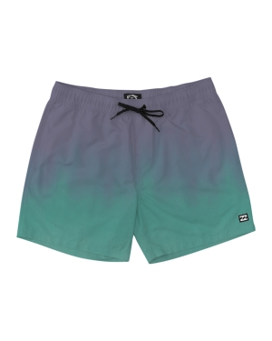 Boys' Billabong (2-7) Good Times Layback 13 Boardshorts Mint | 029DCRAVP