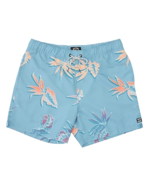 Boys' Billabong (2-7) Good Times Layback 13 Boardshorts Multicolor | 397DFJBXZ