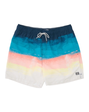 Boys' Billabong (2-7) Good Times Layback 13 Boardshorts Brown | 614MZLXGT