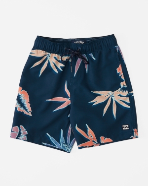 Boys' Billabong (2-7) Good Times Layback 13 Boardshorts Multicolor | 827MXVZFH