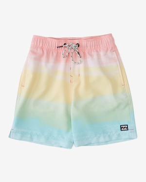 Boys' Billabong (2-7) Good Times Layback 13 Boardshorts Multicolor | 916UXQNCE