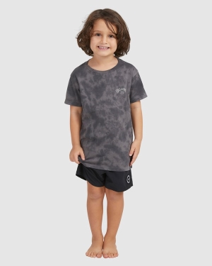 Boys' Billabong (2-7) Groms Arch Tie-Dye Short Sleeve T Shirts Black | 316TGHONY