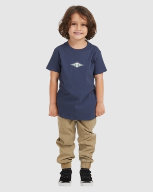 Boys' Billabong (2-7) Groms Diamond Wave Short Sleeve T Shirts Blue | 297LWTKBY