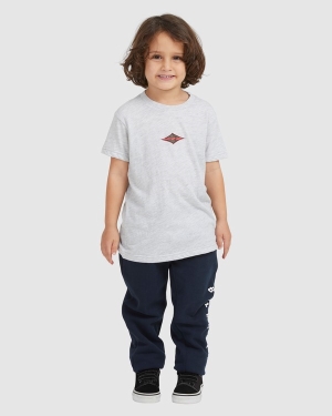 Boys' Billabong (2-7) Groms Diamond Wave Short Sleeve T Shirts Light Grey | 708SKFBWZ