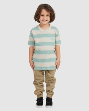 Boys' Billabong (2-7) Groms Hector Short Sleeve T Shirts Multicolor | 483HLTDYP