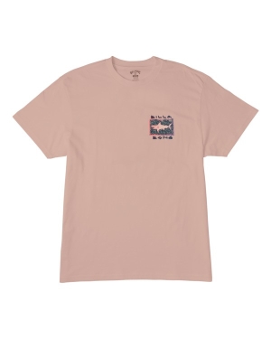 Boys' Billabong (2-7) Sharky Short Sleeve T Shirts Pink | 074FGRTXM