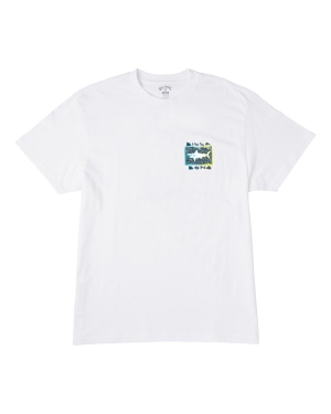Boys' Billabong (2-7) Sharky Short Sleeve T Shirts White | 984YCSMVD