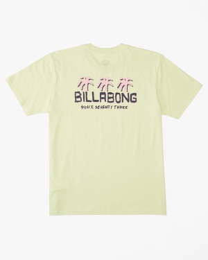 Boys' Billabong (2-7) Social Club Short Sleeve T Shirts Light Green | 207PJBUDR