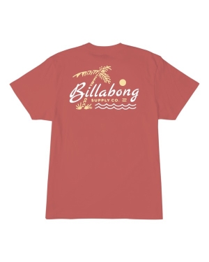 Boys' Billabong (2-7) Social Lounge Short Sleeve T Shirts Rose | 134GBNVXY