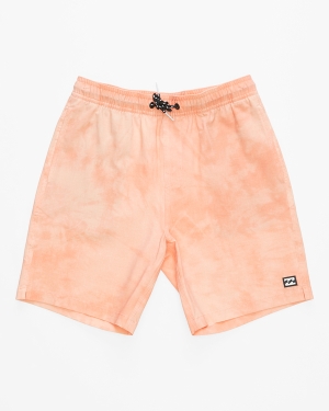 Boys' Billabong (2-7) Sundays Layback 13 Boardshorts Multicolor | 281UGQKMX