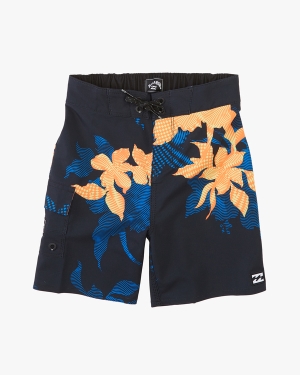 Boys' Billabong (2-7) Sundays Pro 13 Boardshorts Multicolor | 409ERANDL