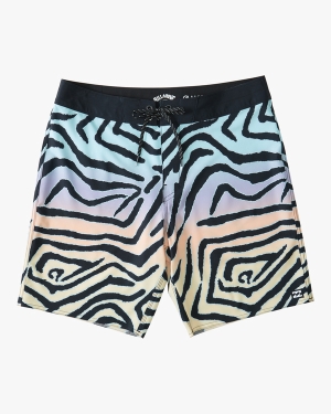 Boys' Billabong (2-7) Sundays Pro 13 Boardshorts Multicolor | 925YKHWOJ