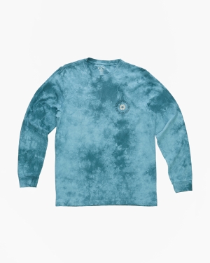 Boys' Billabong (2-7) Worshipper Long Sleeve T Shirts Blue | 836OHSWXN