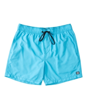 Boys' Billabong All Day Layback 16 Boardshorts Blue | 241ALHRUP