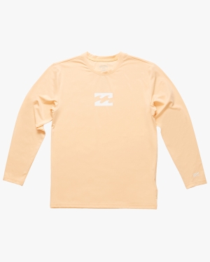 Boys' Billabong All Day Wave Loose Fit Long Sleeve Surf Tee Multicolor | 163ZRWOKE