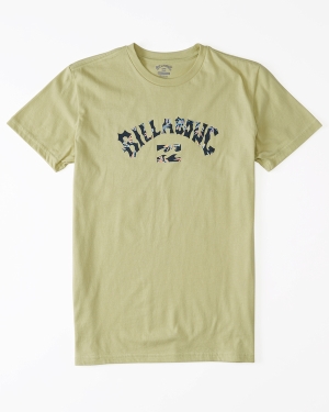 Boys' Billabong Arch Fill Short Sleeve T Shirts Light Green | 386GPHOTK