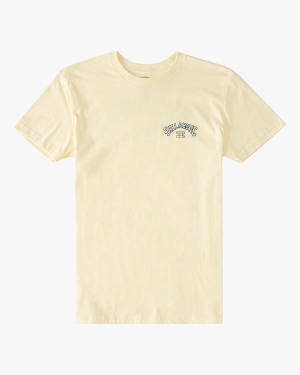 Boys' Billabong Arch Fill Short Sleeve T Shirts Yellow | 574CERLZQ