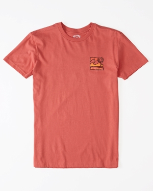 Boys' Billabong BBTV 2 Short Sleeve T Shirts Rose | 286SVMEGW