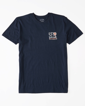 Boys' Billabong BBTV 2 Short Sleeve T Shirts Navy | 329HXOJPC