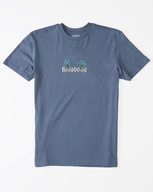 Boys' Billabong Chest Pack Short Sleeve T Shirts Blue | 021ETHSRY