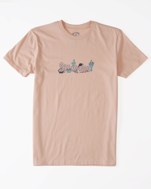 Boys' Billabong Chest Pack Short Sleeve T Shirts Pink | 571MIFENJ