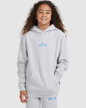 Boys' Billabong Core Arch Pullover Hoodie Light Grey | 615RTMQKE