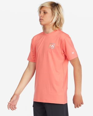 Boys' Billabong Crayon Wave Loose Fit Short Sleeve Surf Tee Coral | 403NFBXKH