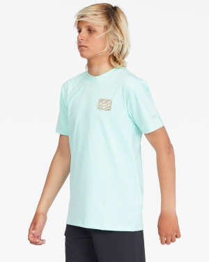 Boys' Billabong Crayon Wave Loose Fit Short Sleeve Surf Tee Mint | 637QSBDOJ
