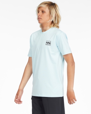 Boys' Billabong Crayon Wave Loose Fit Short Sleeve Surf Tee Multicolor | 716PCXINK