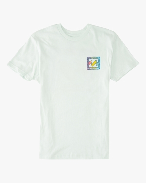 Boys' Billabong Crayon Wave Short Sleeve T Shirts Multicolor | 193QCMIUN