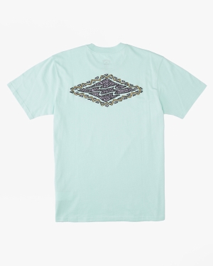 Boys' Billabong Crayon Wave Short Sleeve T Shirts Mint | 879FPWTHM