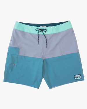 Boys' Billabong Fifty50 Panel Pro 17 Boardshorts Purple | 309JATVZK