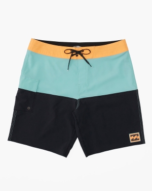 Boys' Billabong Fifty50 Panel Pro 17 Boardshorts Multicolor | 539UIRCAL