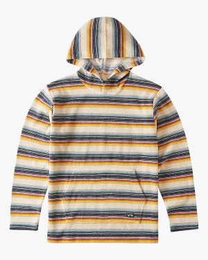 Boys' Billabong Flecker Diego Pullover Hoodie Grey | 192GZBHEL
