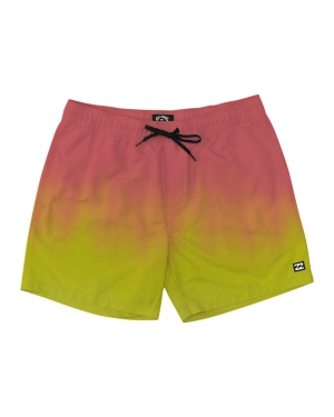 Boys' Billabong Good Times Layback 16 Boardshorts Multicolor | 694PAIJZX