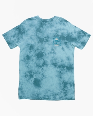 Boys' Billabong Heat Short Sleeve T Shirts Blue | 413OGLPBZ