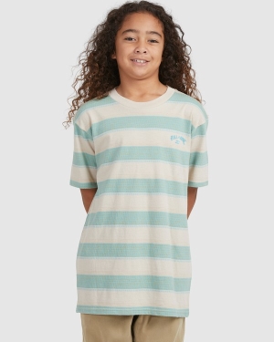 Boys' Billabong Hector Stripe Short Sleeve T Shirts Multicolor | 196NCKFRA