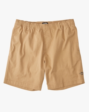 Boys' Billabong Larry Layback 16 Shorts Multicolor | 305VNXITZ